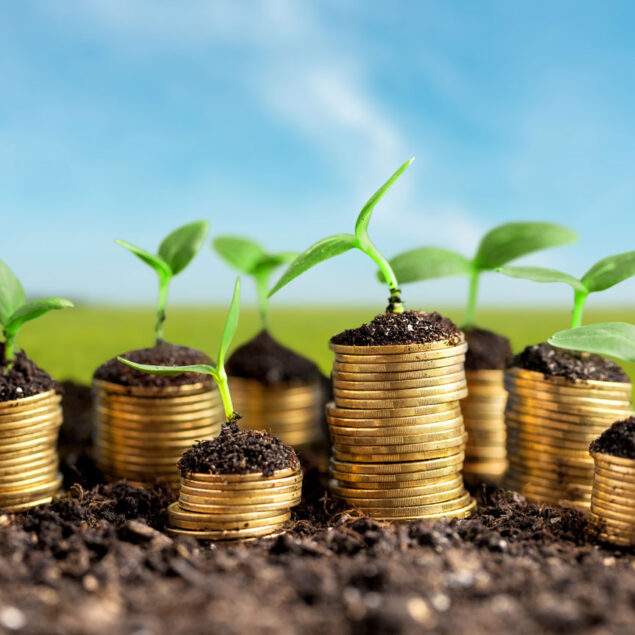 growth-money